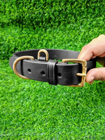Dog Collar