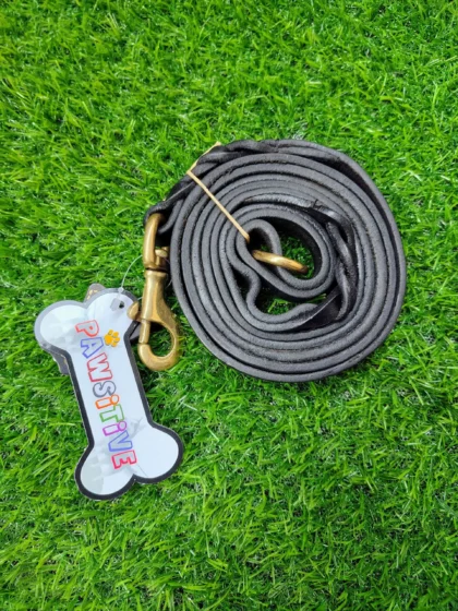 Harness Dog Leash