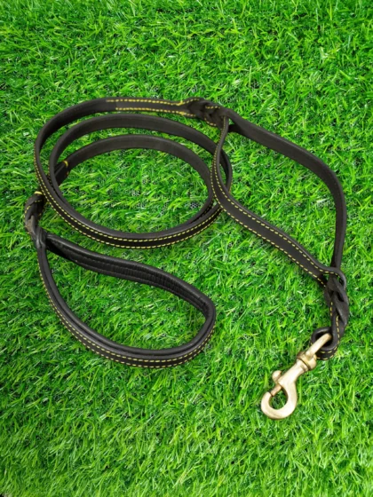 Dual Handle Padded Dog Leash