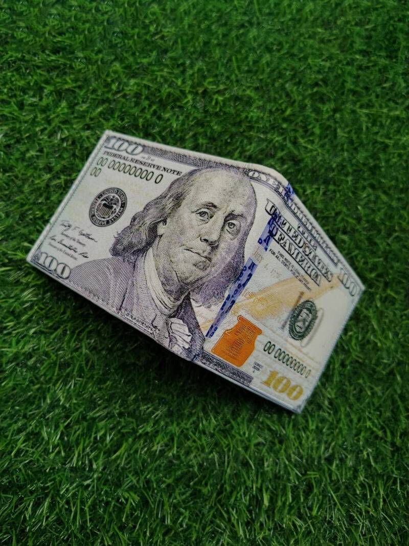 100 Dollar Print Bifold Wallet - Image 6